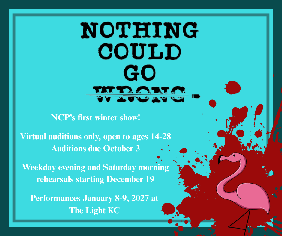 Nothing Could Go Wrong Auditions